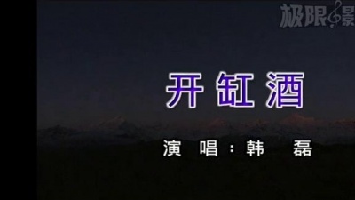 韩磊 - 开缸酒