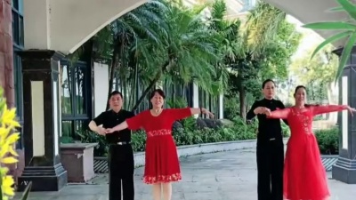 *** - 阿萍经典双人舞交谊舞对跳《桃花缘》