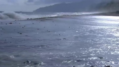 阿恬 - 秦永《是否可以 饭制版》