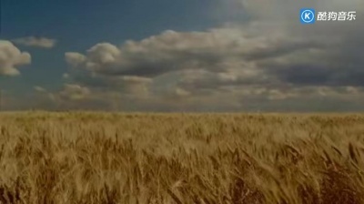Eva Cassidy(伊娃·卡斯迪) - Fields of Gold 中英字幕版