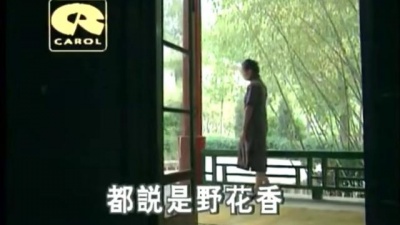 潘秀琼 - 家花那有野花香