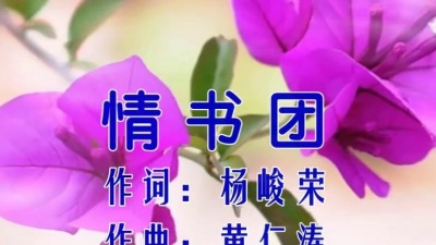 小诺爱唱歌 - 南洋歌星罗宾-《情书团》，醉人的男声演绎温馨的情歌！