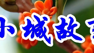 小梁弟爱唱歌 - 经典好歌，龚玥一首《小城故事》好听极了