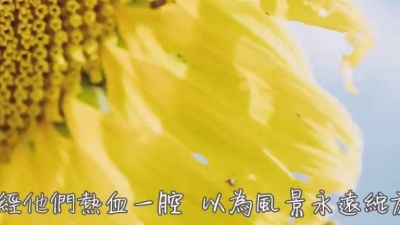天天音乐汇 - 陈雪凝《一口》.....
