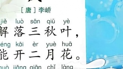 寒江雪 - 风
