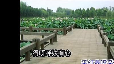 晨光 - 采红菱 - 董文华
