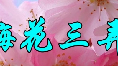 聆听金曲 - 经典情歌，姚思思一首《梅花三弄》好听极了