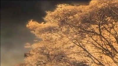 Arash、Helena - Broken Angel