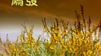 韩仲衍 - 杭天琪 - 一个真实的故事