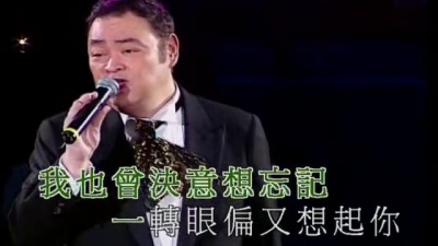 张伟文 - 忘不了的你