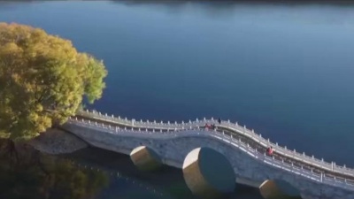 天府事变、上海阿莹、王大痣、JarStick - 厉害了我的国
