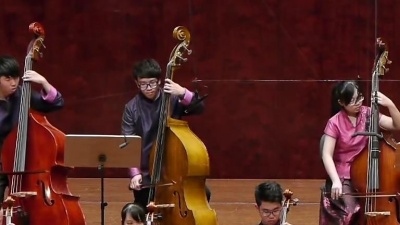 是瓜瓜蛙 - 2014/12/26 《病中吟》南藝弓弦樂團 指揮/歐光勳