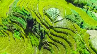 刘超华 - 一曲梅山青