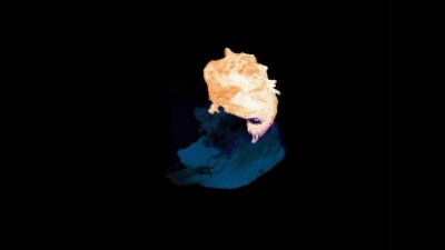 Stwo、Superpoze - Late