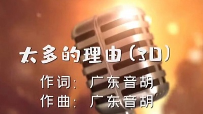 广东音胡 - 太多的理由（DJ版）环绕立体声