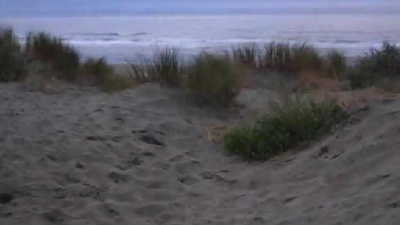 Jack Johnson - Big Sur