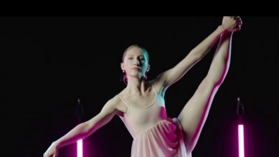 Fäaschtbänkler - Flamingo