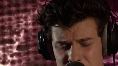 Shawn Mendes - In My Blood