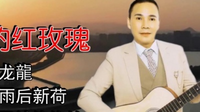 龙龍 - 等爱的红玫瑰