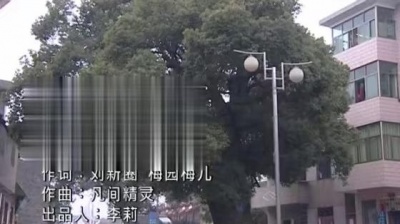 纳兰珠儿 - 情系华城门 (KTV版)