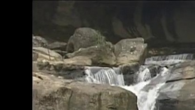 王瑞霞、黄洋哲 - 阿爸原谅我