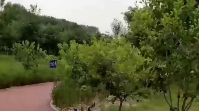一窝皮皮虾 - 云飞一首《醉乡愁》深情悠扬，娓娓动听，送给思乡的游子！