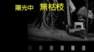 郭小霖 - 从不知