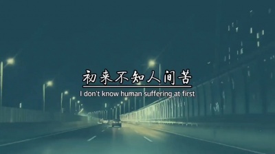 情感语录 - 初来不知人间苦。