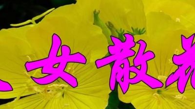 鞠文娴 - 网络金曲，周虹一首《天女散花》甜美极了