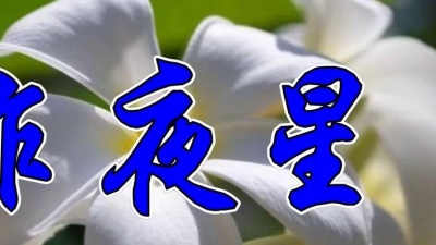 音乐分享人 - 周红一首经典情歌《昨夜星辰》好听极了