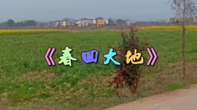 香山音画 - 难忘故乡情《家乡的油菜花》