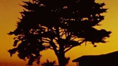 Leon Thomas、Ty Dolla $ign - Love Jones