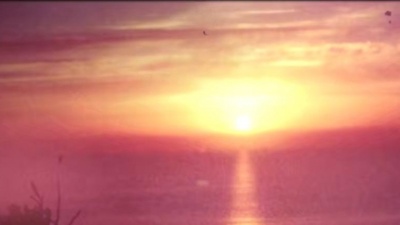 M. Ward、Steve Gunn、Tony Garnier、Oisin Leech - October Sun