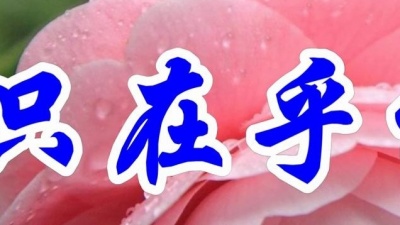 音乐频道 - 怀旧金曲，刘紫玲一首《我只在乎你》好听极了