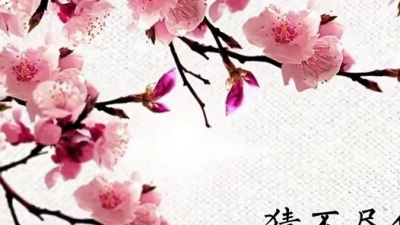 萧忆情Alex - 人自扰