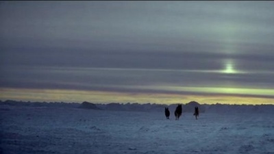 Bastille - Things We Lost In The Fire