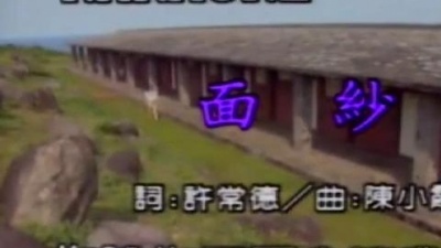 方文琳 - 面纱