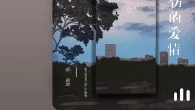 豆豆果 - 张俊波《悲伤的爱情》饭制