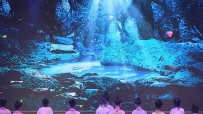 儿童舞蹈乐园 - 《兰花草》（筑梦繁星号舞姿赞祖国）2019年繁星号少儿文艺汇演
