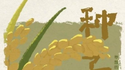 豆豆果 - 吴宣仪《种子》饭制