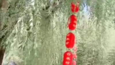 爱听歌的小女孩 - 【醉酒的蝴蝶】二胡演奏