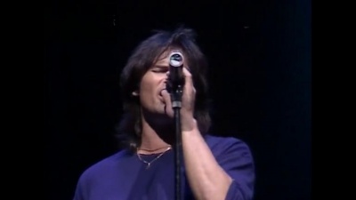 Survivor - Feels Like Love