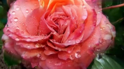 Nat King Cole - Fascination