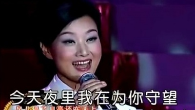 宋祖英 - 想你在美好月夜里 (KTV版)