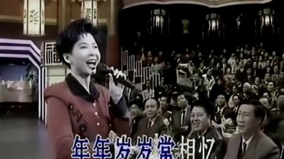 董文华 - 真情永远伴着您