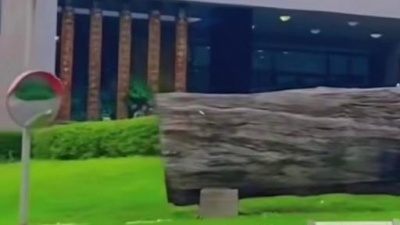乌鸦电影 - 这真的是学校吗#浙江农林大学 真的不是森林吗