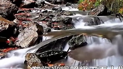 爱豆圈 - 欢乐颂