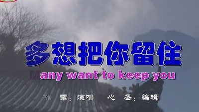 孙露 - 多想把你留住
