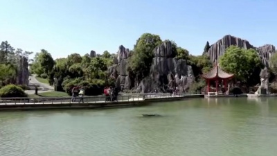 刘晓 - 把根留住
