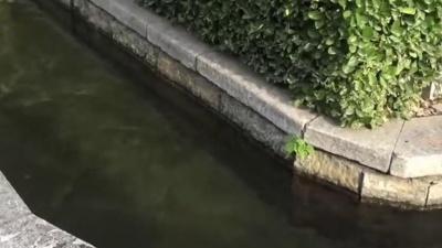 音乐天堂 - 经典老歌，谢采妘一曲《你最美丽你最亲》甜美极了